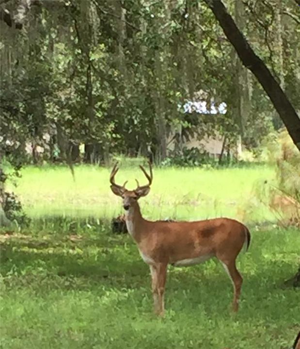 待售: $791,000 (2 贝兹, 1 浴室, 1624 平方英尺)