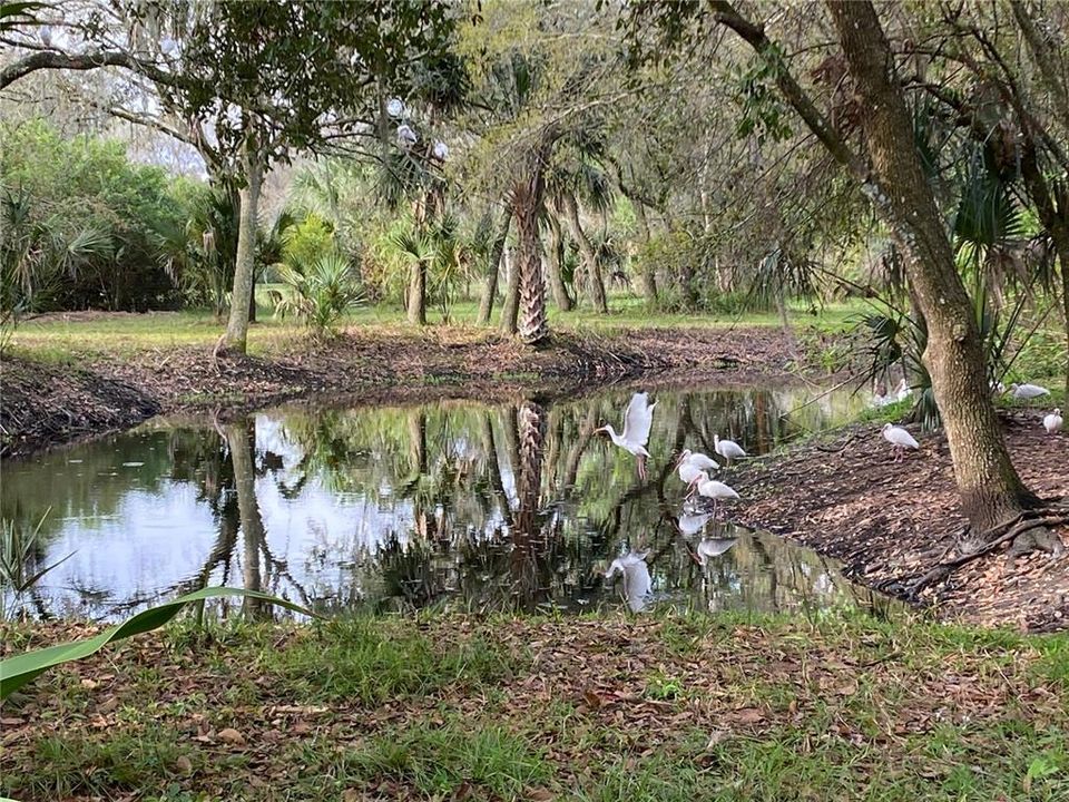 待售: $791,000 (2 贝兹, 1 浴室, 1624 平方英尺)