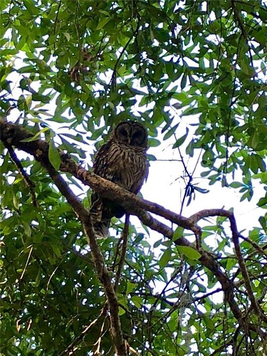 待售: $791,000 (2 贝兹, 1 浴室, 1624 平方英尺)