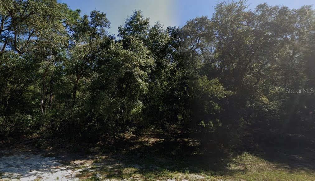 For Sale: $10,000 (0.22 acres)