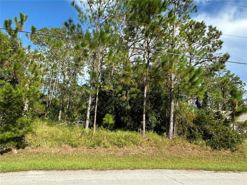 На продажу: $78,000 (0.26 acres)