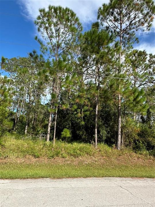 На продажу: $78,000 (0.26 acres)