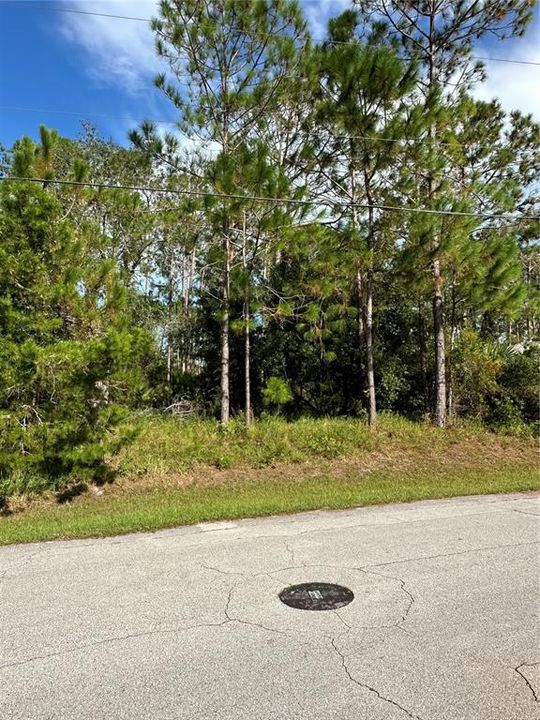 На продажу: $78,000 (0.26 acres)