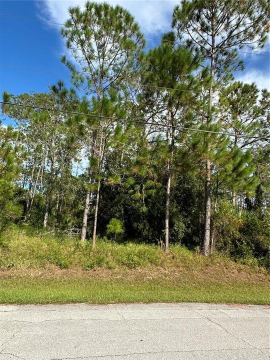 На продажу: $78,000 (0.26 acres)