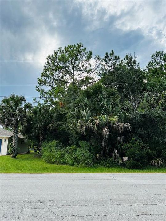 For Sale: $78,000 (0.23 acres)