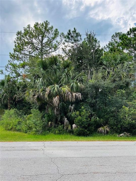 For Sale: $78,000 (0.23 acres)