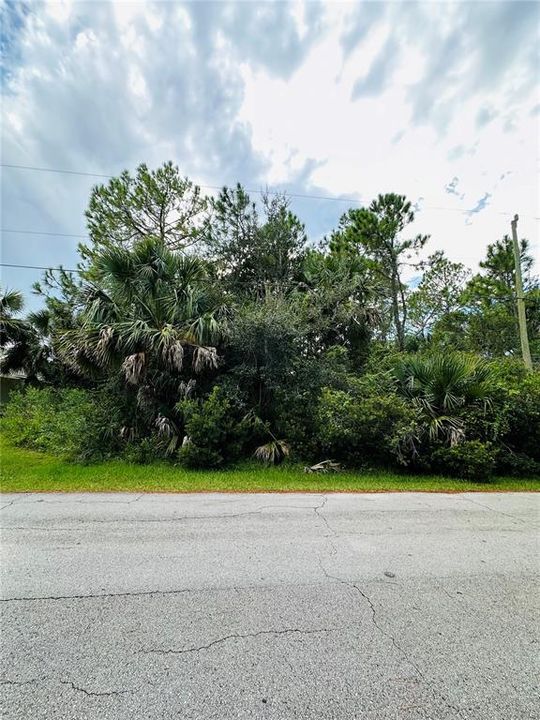 For Sale: $78,000 (0.23 acres)