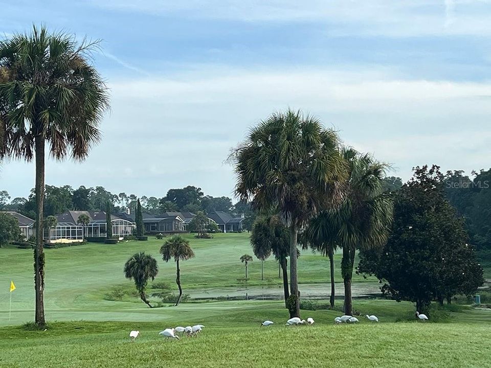 合同活跃: $619,900 (3 贝兹, 2 浴室, 2263 平方英尺)