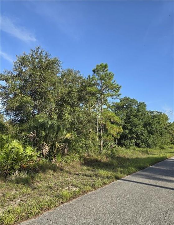 For Sale: $33,800 (0.50 acres)