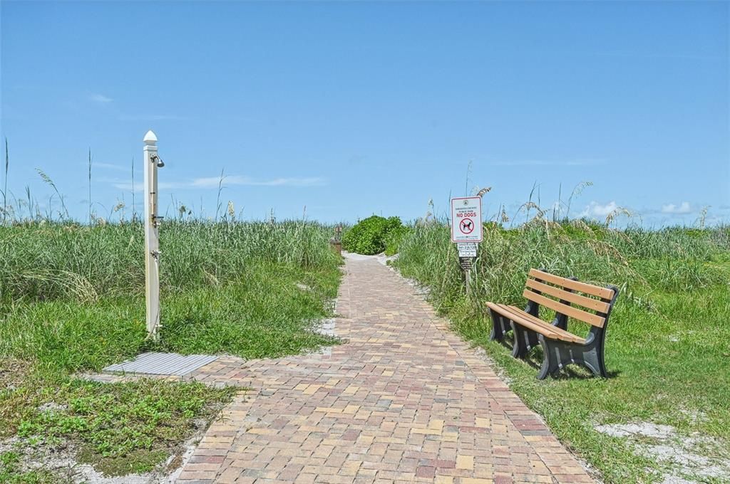 出租: $6,000 (2 贝兹, 2 浴室, 1650 平方英尺)