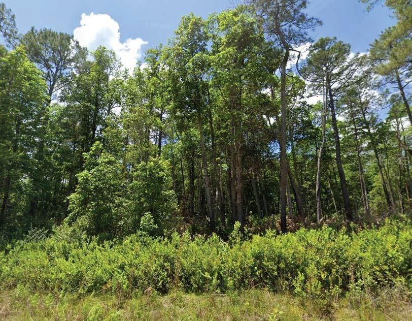 合同活跃: $34,000 (2.34 acres)