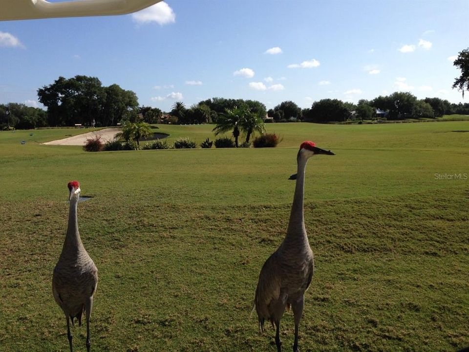 Activo con contrato: $685,000 (3 camas, 3 baños, 2404 Pies cuadrados)