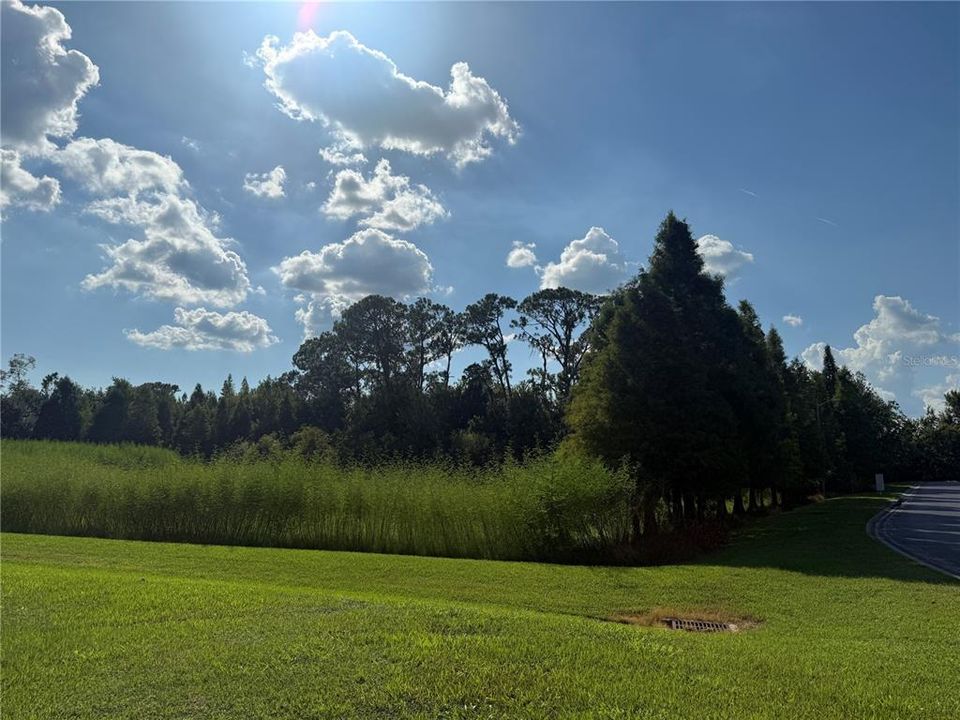 For Sale: $299,995 (0.48 acres)