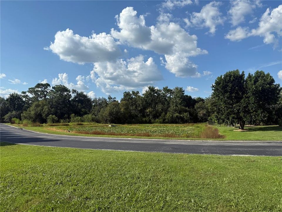 For Sale: $299,995 (0.48 acres)