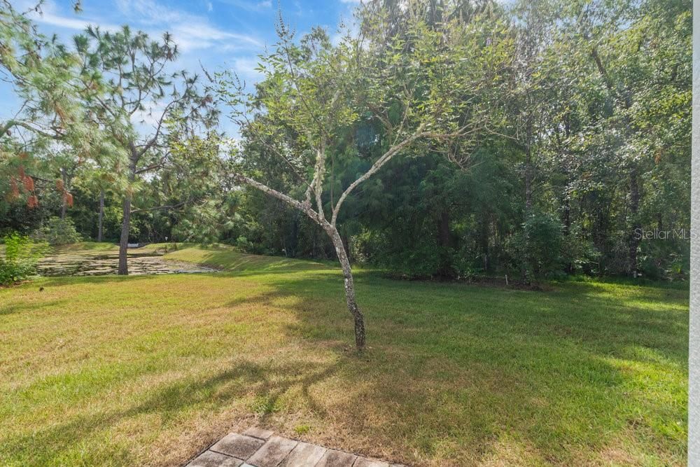 Под контрактом: $459,900 (4 спален, 3 ванн, 2283 Квадратных фут)