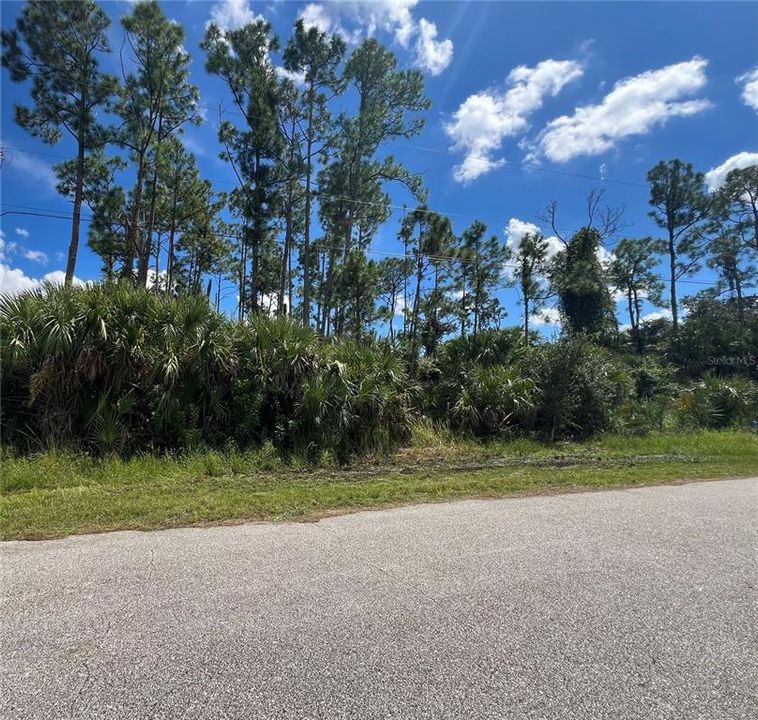 Activo con contrato: $24,000 (0.31 acres)