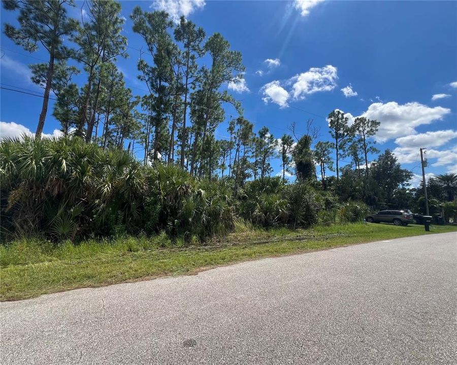 Activo con contrato: $24,000 (0.31 acres)