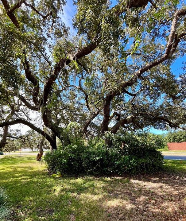 Active With Contract: $250,000 (2 beds, 2 baths, 1718 Square Feet)