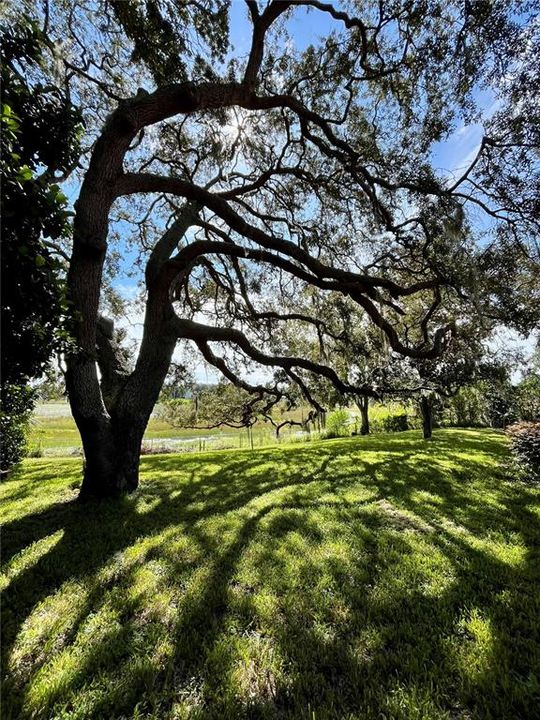 Active With Contract: $250,000 (2 beds, 2 baths, 1718 Square Feet)