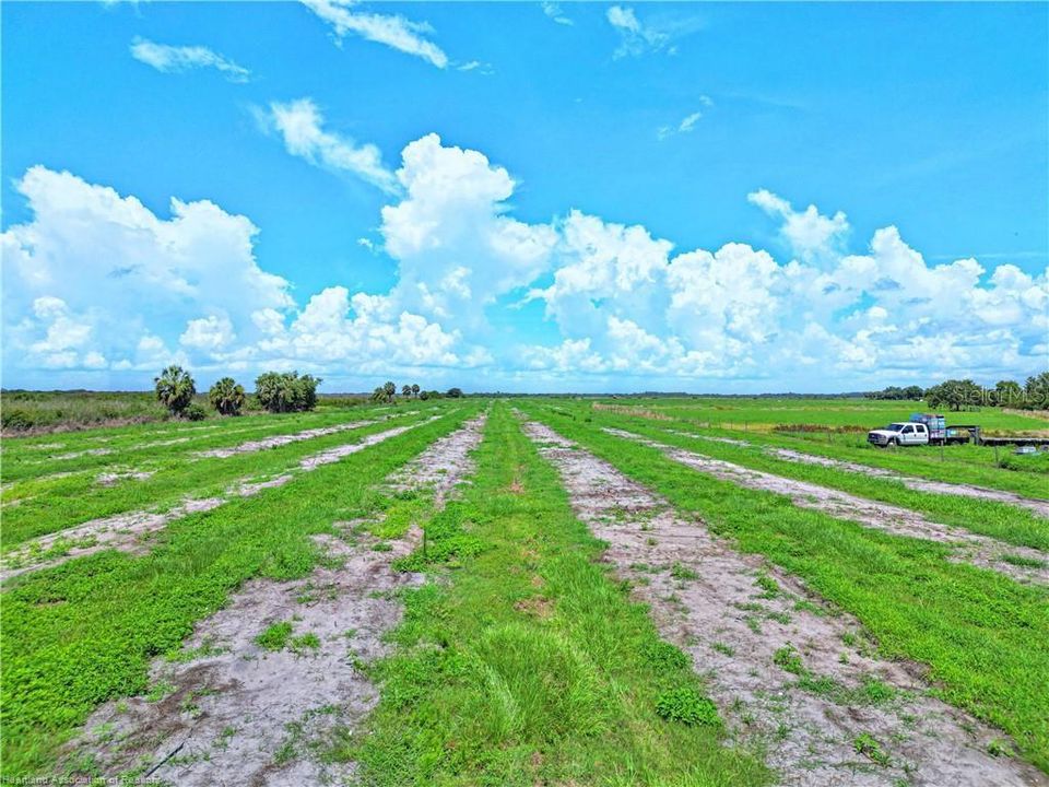 For Sale: $1,168,630 (102.16 acres)