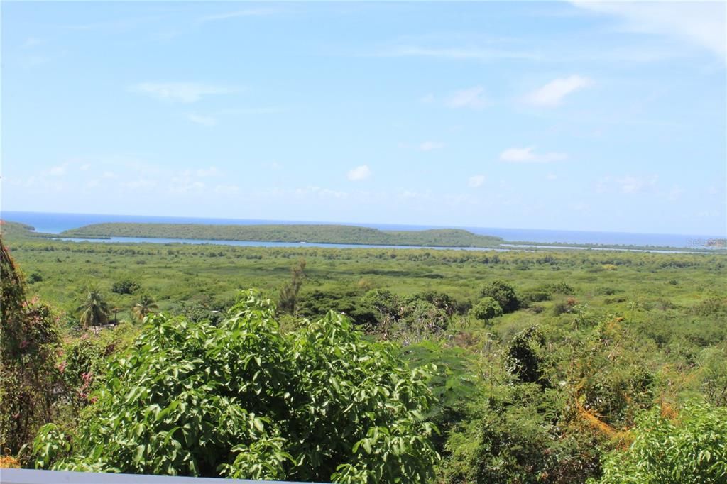 Activo con contrato: $359,000 (3 camas, 2 baños, 1500 Pies cuadrados)