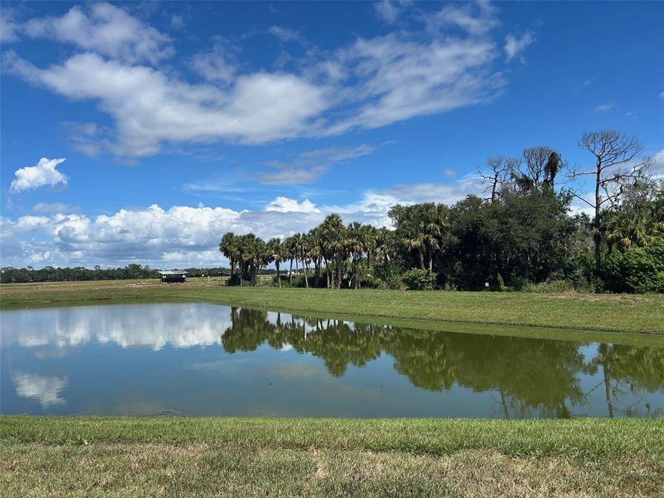 Active With Contract: $602,000 (5 beds, 4 baths, 3711 Square Feet)