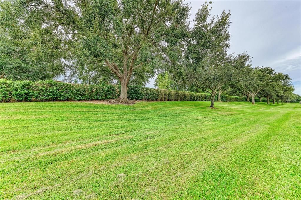 Active With Contract: $299,900 (3 beds, 2 baths, 1596 Square Feet)