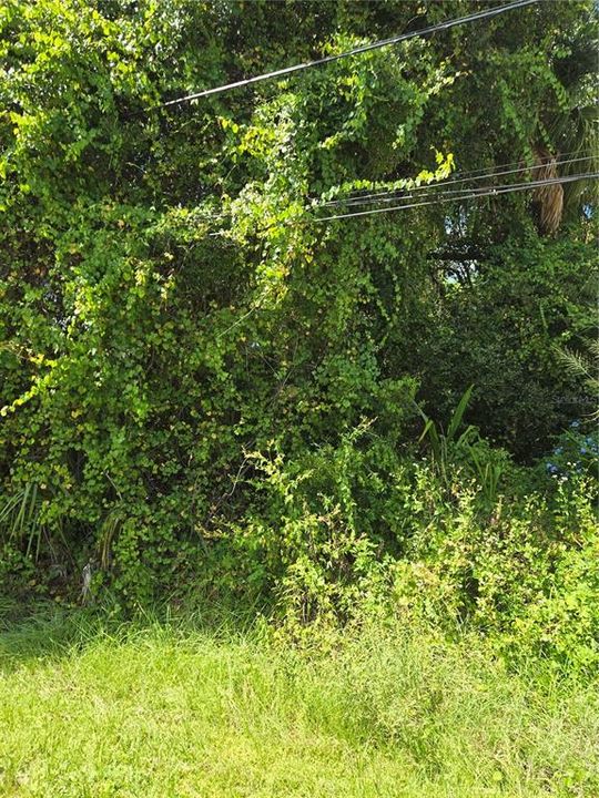 Под контрактом: $17,900 (0.23 acres)