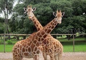 For Sale: $475,000 (3.40 acres)