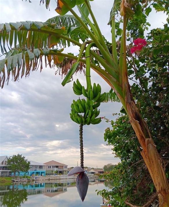 Active With Contract: $619,900 (3 beds, 4 baths, 2090 Square Feet)