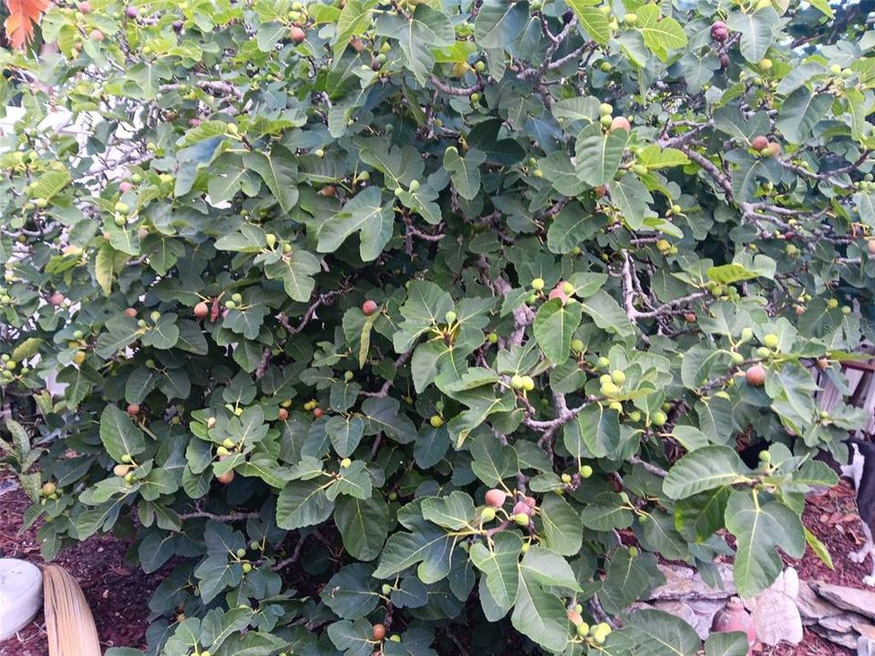 Active With Contract: $619,900 (3 beds, 4 baths, 2090 Square Feet)