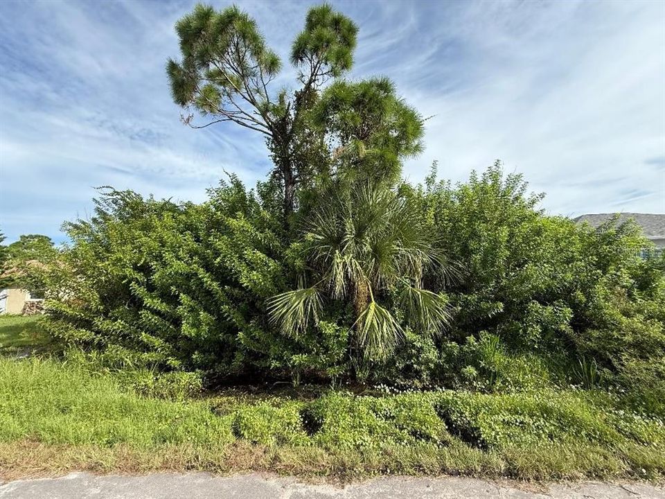 На продажу: $45,000 (0.23 acres)