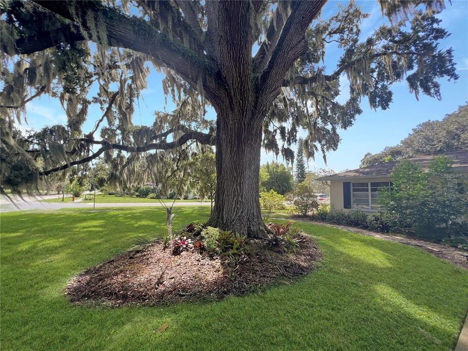 Active With Contract: $375,000 (2 beds, 2 baths, 1975 Square Feet)