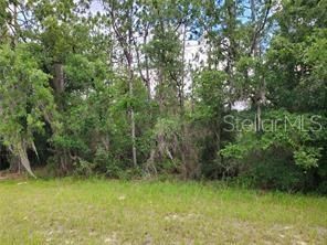 待售: $36,500 (0.23 acres)