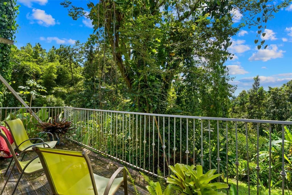 待售: $600,000 (2 贝兹, 1 浴室, 1600 平方英尺)