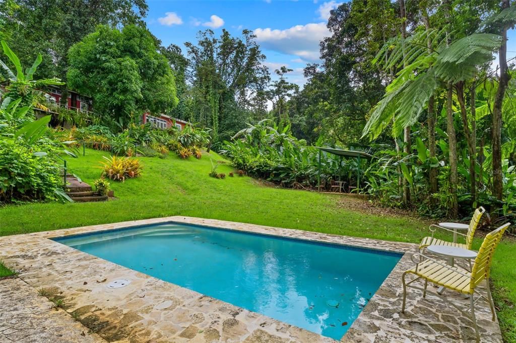 待售: $600,000 (2 贝兹, 1 浴室, 1600 平方英尺)