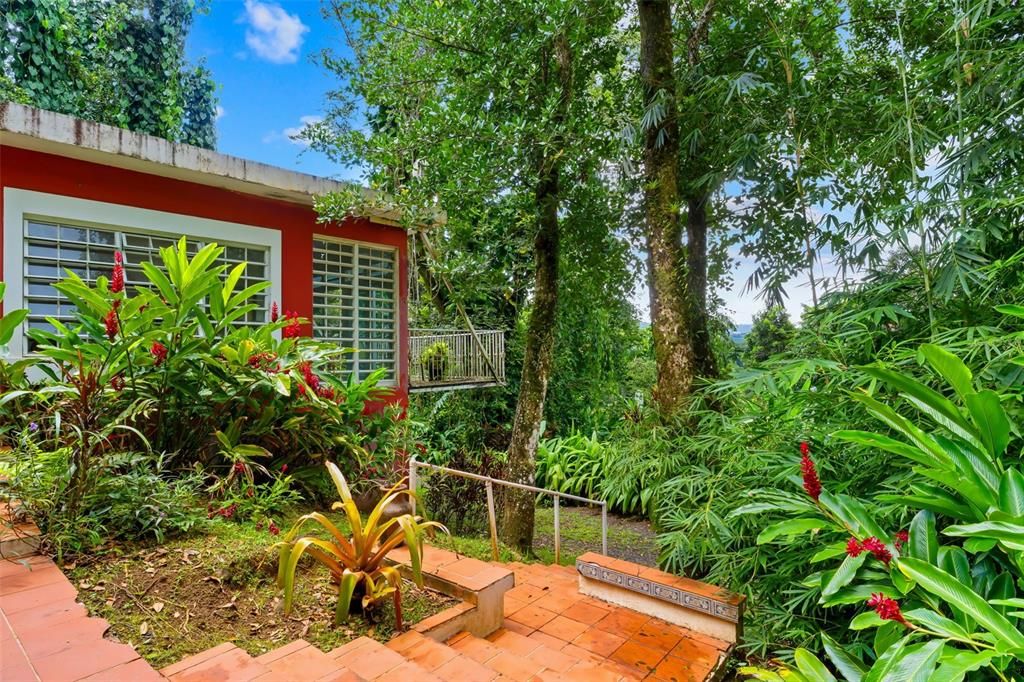 待售: $600,000 (2 贝兹, 1 浴室, 1600 平方英尺)