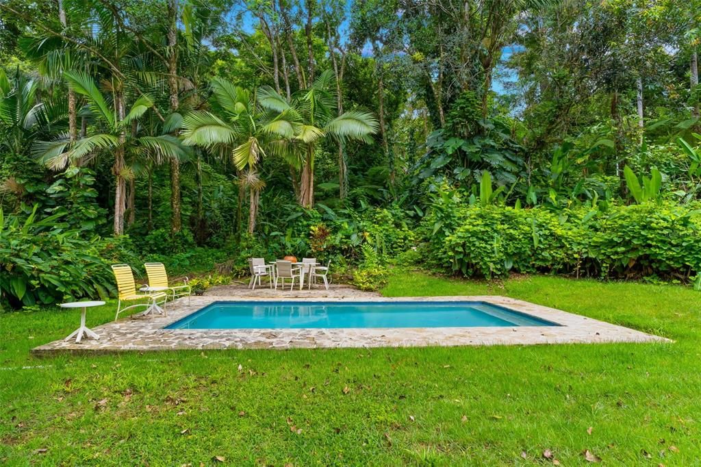 待售: $600,000 (2 贝兹, 1 浴室, 1600 平方英尺)