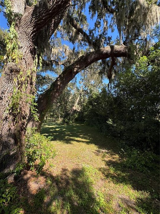 For Sale: $175,000 (2.00 acres)