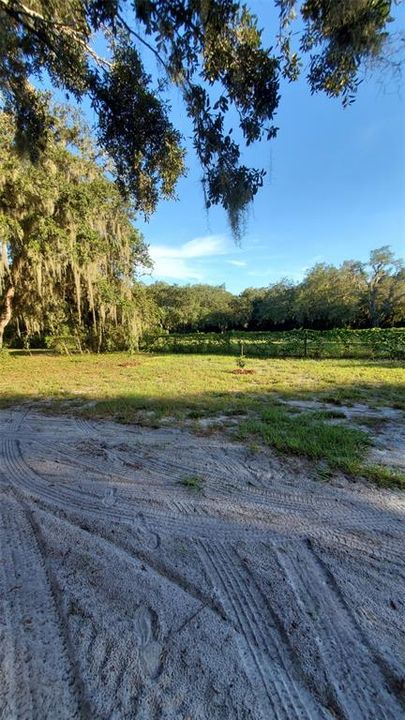 待售: $370,000 (5.19 acres)