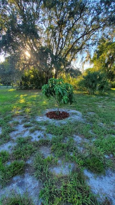 待售: $370,000 (5.19 acres)