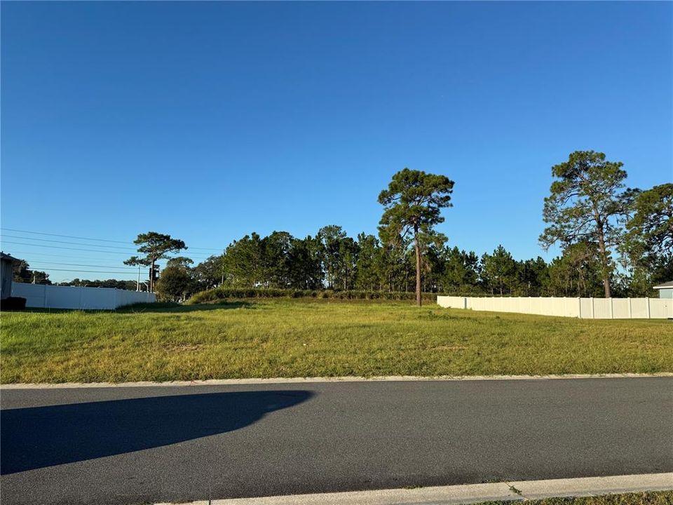 待售: $85,000 (0.48 acres)