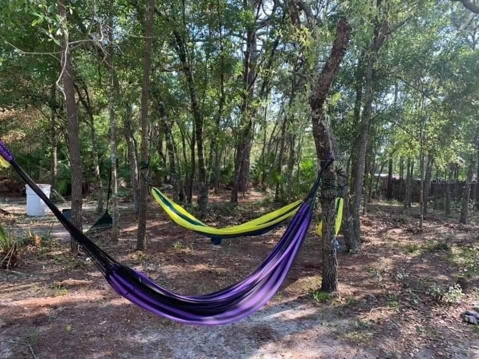 待售: $225,000 (4 贝兹, 2 浴室, 1620 平方英尺)