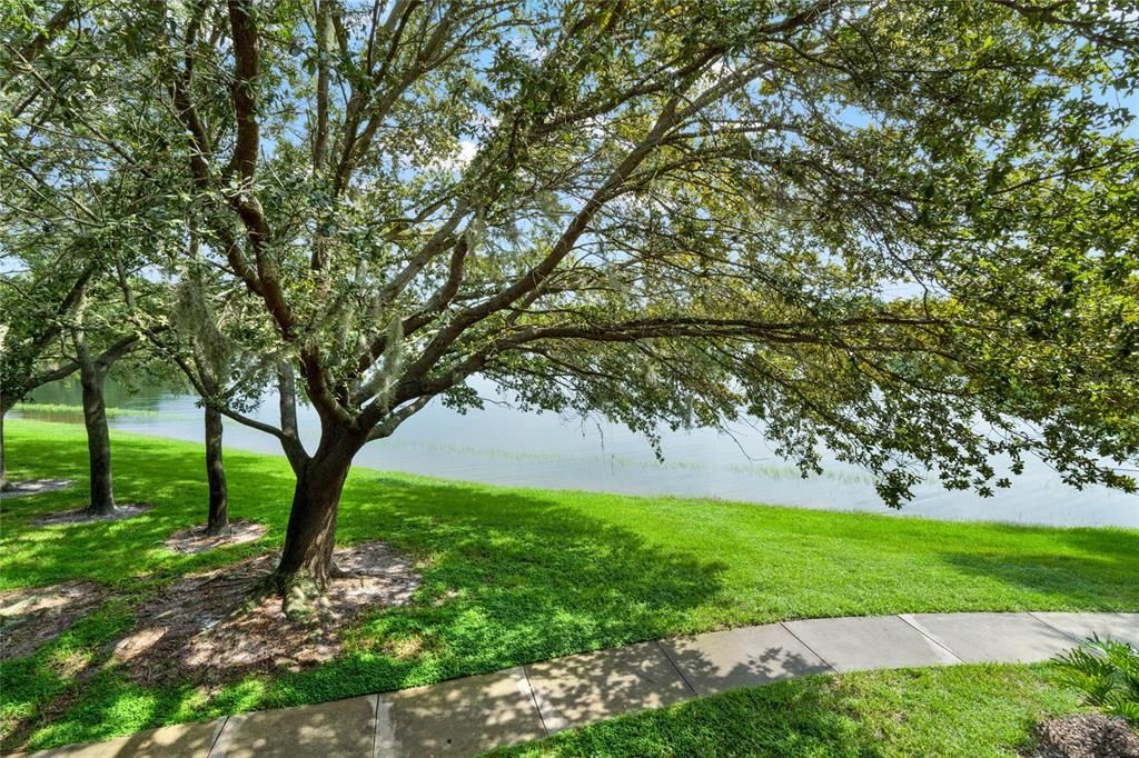 На продажу: $265,000 (2 спален, 2 ванн, 1478 Квадратных фут)