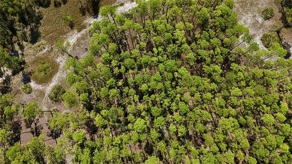 待售: $199,000 (12.70 acres)