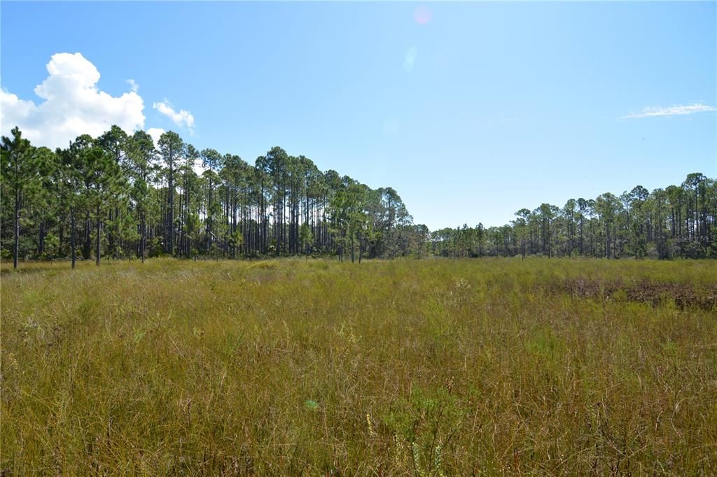 待售: $199,000 (12.70 acres)