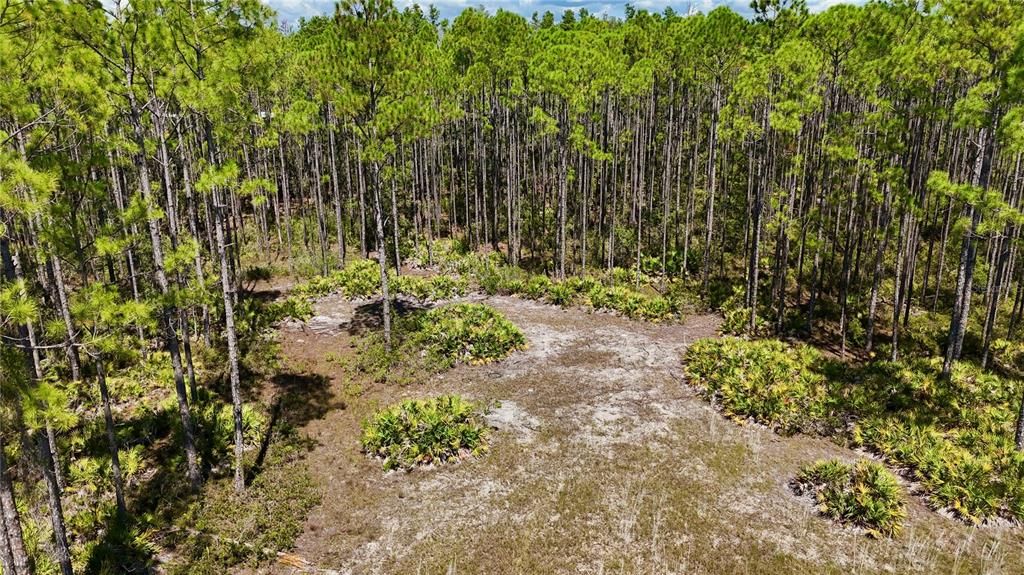 待售: $199,000 (12.70 acres)