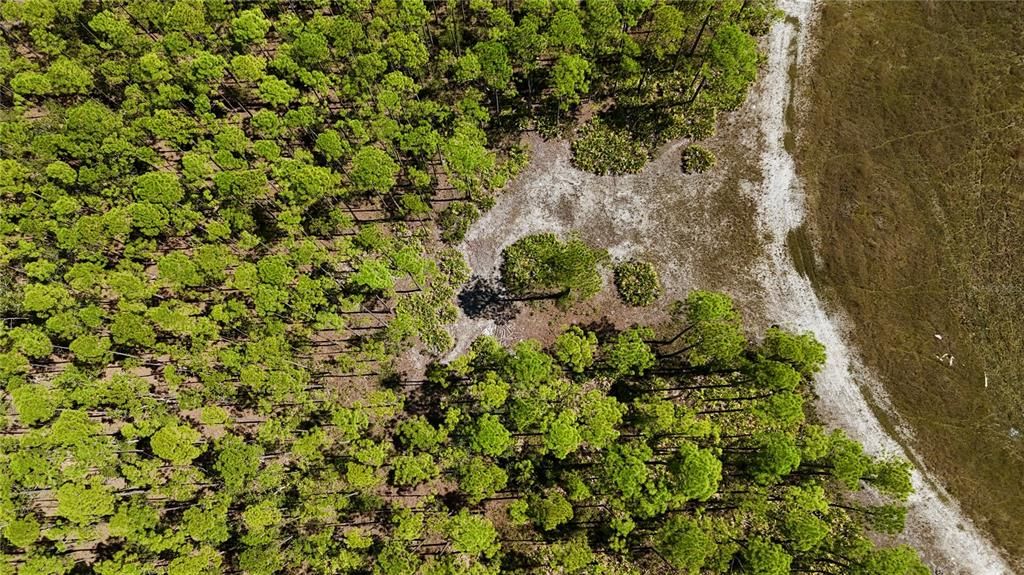 待售: $199,000 (12.70 acres)