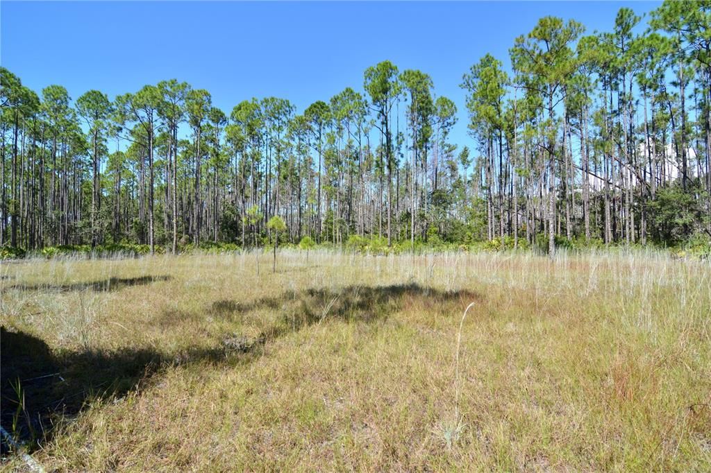 待售: $199,000 (12.70 acres)