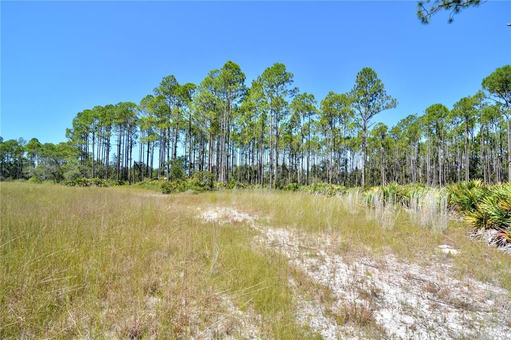 待售: $199,000 (12.70 acres)